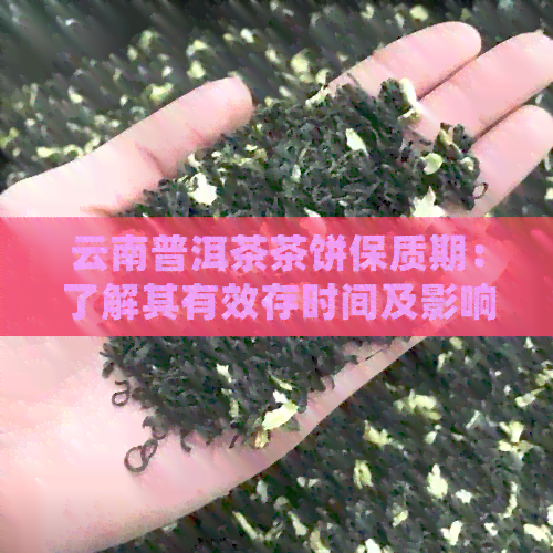 云南普洱茶茶饼保质期：了解其有效存时间及影响因素，确保品质长久