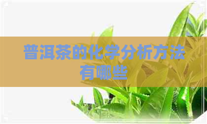 普洱茶的化学分析方法有哪些