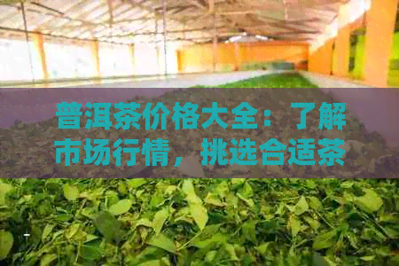 普洱茶价格大全：了解市场行情，挑选合适茶叶不再困难