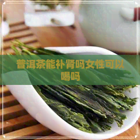 普洱茶能补肾吗女性可以喝吗