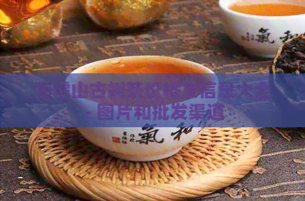 南糯山古树茶价格及信息大全 - 图片和批发渠道