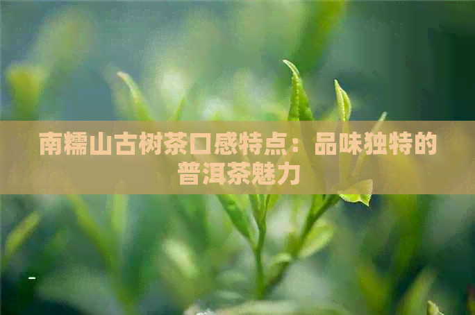 南糯山古树茶口感特点：品味独特的普洱茶魅力