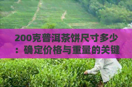 200克普洱茶饼尺寸多少：确定价格与重量的关键指标