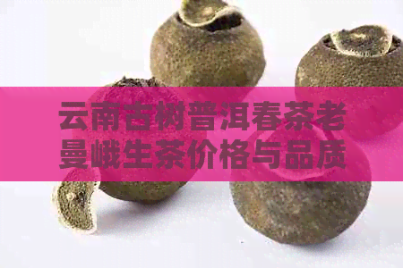 云南古树普洱春茶老曼峨生茶价格与品质详解，购买指南