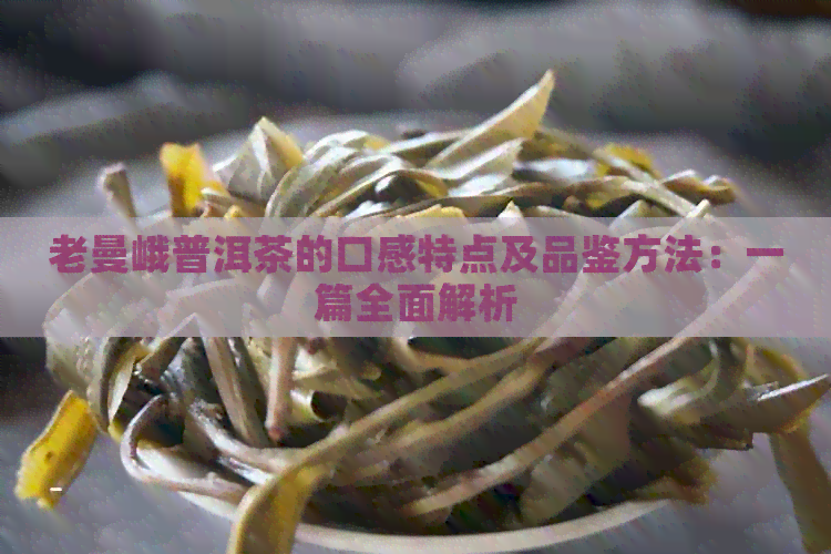 老曼峨普洱茶的口感特点及品鉴方法：一篇全面解析