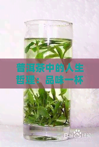 普洱茶中的人生哲理：品味一杯，领悟什么