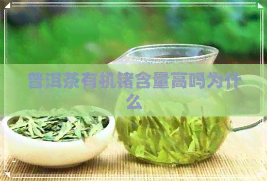 普洱茶有机锗含量高吗为什么