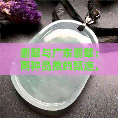 翡翠与广东翡翠：两种品质的甄选，哪个更胜一筹？