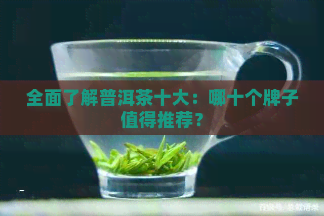 全面了解普洱茶十大：哪十个牌子值得推荐？