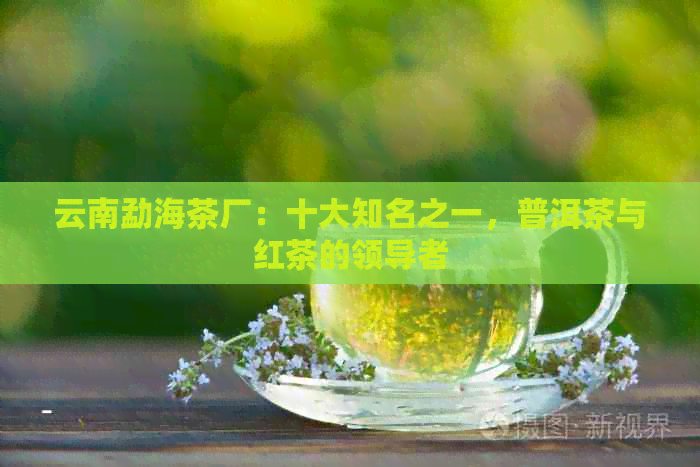 云南勐海茶厂：十大知名之一，普洱茶与红茶的领导者