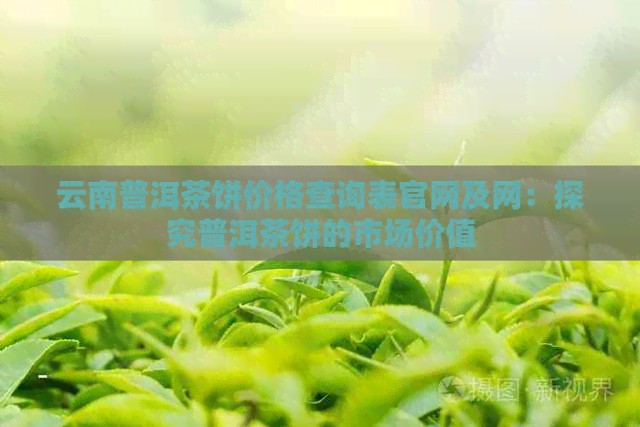 云南普洱茶饼价格查询表官网及网：探究普洱茶饼的市场价值