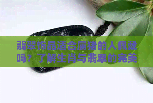 翡翠饰品适合属猪的人佩戴吗？了解生肖与翡翠的完美搭配