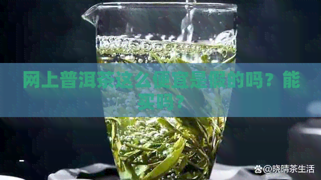 网上普洱茶这么便宜是假的吗？能买吗？