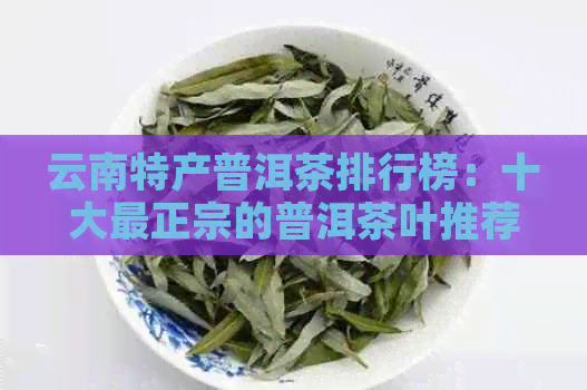 云南特产普洱茶排行榜：十大最正宗的普洱茶叶推荐