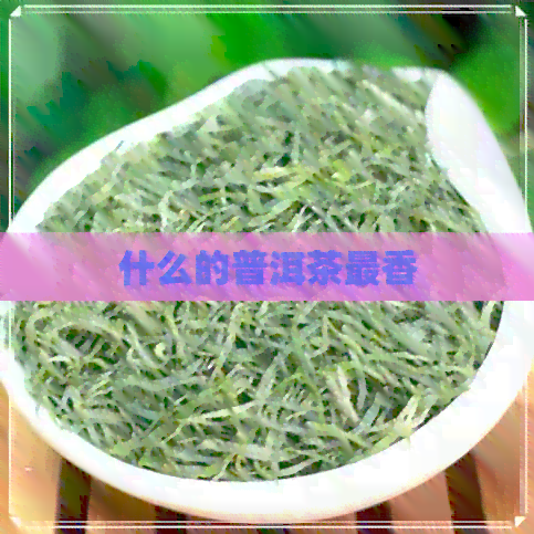 什么的普洱茶最香