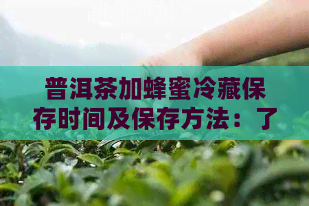 普洱茶加蜂蜜冷藏保存时间及保存方法：了解如何长茶叶和蜂蜜的保质期