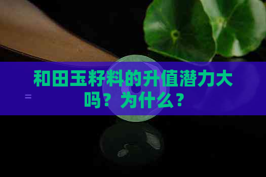 和田玉籽料的升值潜力大吗？为什么？