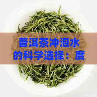 普洱茶冲泡水的科学选择：度范围及对茶叶口感的影响