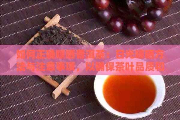 如何正确晾晒普洱茶：日光晾晒方法与注意事项，以确保茶叶品质和口感