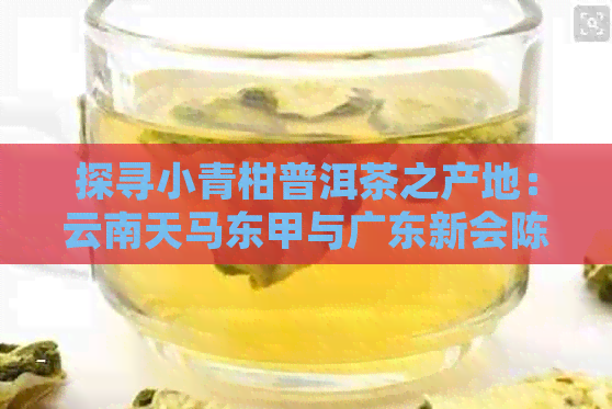 探寻小青柑普洱茶之产地：云南天马东甲与广东新会陈皮的对比与口感体验