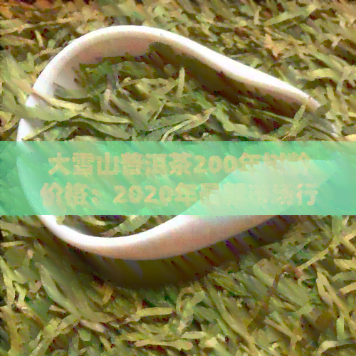 大雪山普洱茶200年树龄价格：2020年最新市场行情解析