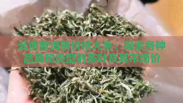 云南普洱茶价格大全：探索各种品质和类型的茶叶及其市场价