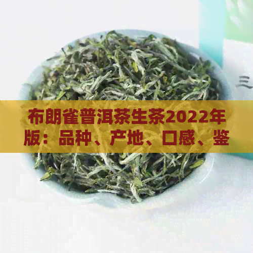 布朗雀普洱茶生茶2022年版：品种、产地、口感、鉴别与购买指南