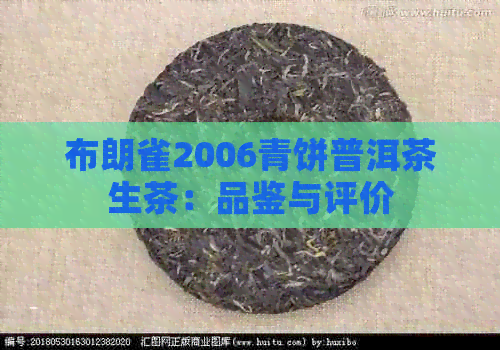 布朗雀2006青饼普洱茶生茶：品鉴与评价