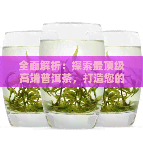 全面解析：探索最顶级高端普洱茶，打造您的品茗宴