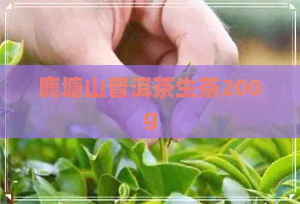 鹿塘山普洱茶生茶200g