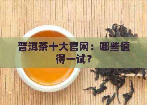 普洱茶十大官网：哪些值得一试？