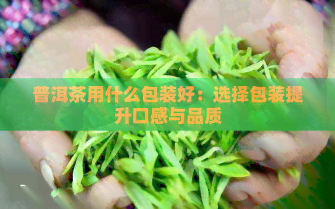 普洱茶用什么包装好：选择包装提升口感与品质