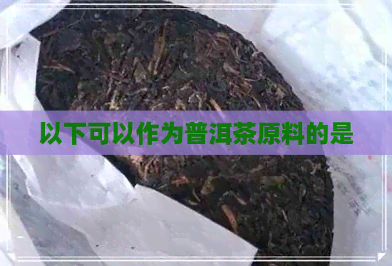 以下可以作为普洱茶原料的是