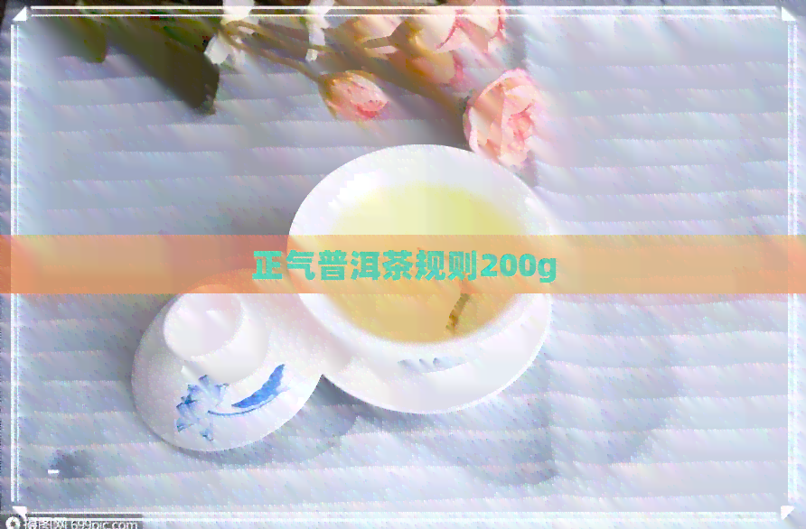 正气普洱茶规则200g