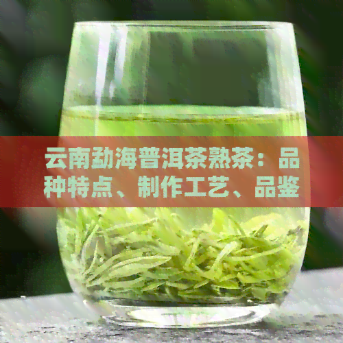 云南勐海普洱茶熟茶：品种特点、制作工艺、品鉴方法及适合搭配食物一应俱全