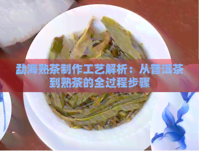 勐海熟茶制作工艺解析：从普洱茶到熟茶的全过程步骤