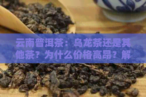 云南普洱茶：乌龙茶还是其他茶？为什么价格高昂？解答所有疑问