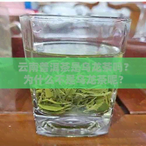 云南普洱茶是乌龙茶吗？为什么不是乌龙茶呢？