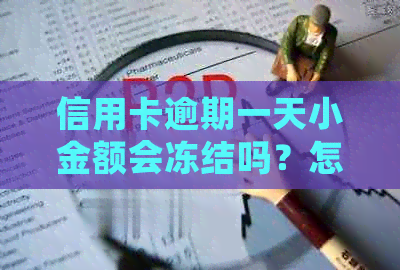 信用卡逾期一天小金额会冻结吗？怎么办？安全吗？