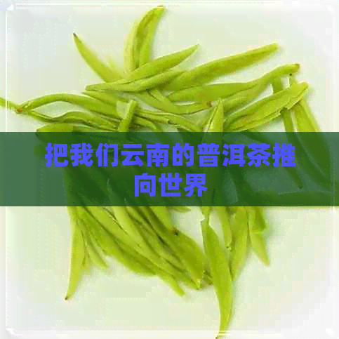 把我们云南的普洱茶推向世界