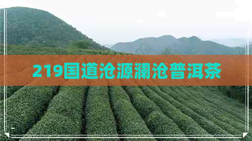 219国道沧源澜沧普洱茶