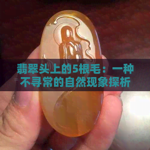 翡翠头上的5根毛：一种不寻常的自然现象探析