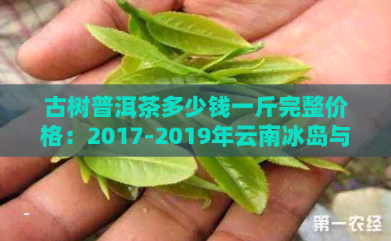 古树普洱茶多少钱一斤完整价格：2017-2019年云南冰岛与其它地区行情