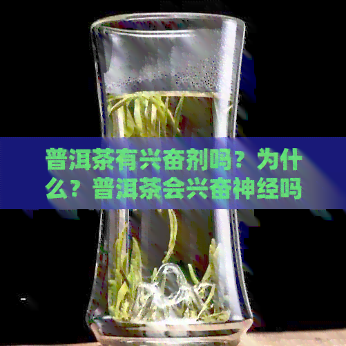 普洱茶有     吗？为什么？普洱茶会兴奋神经吗？