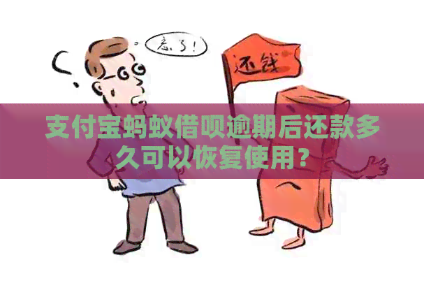 支付宝蚂蚁借呗逾期后还款多久可以恢复使用？