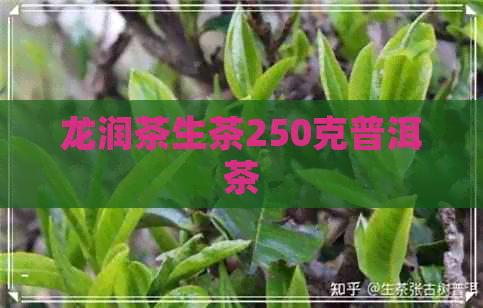 龙润茶生茶250克普洱茶