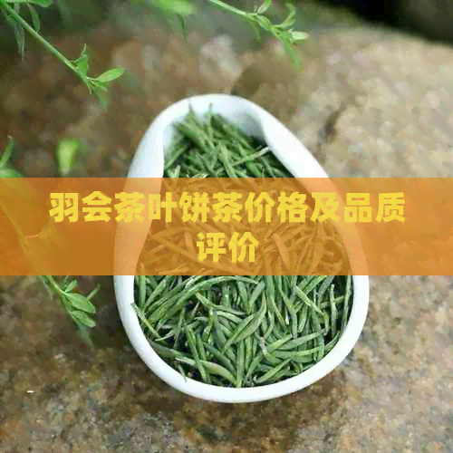 羽会茶叶饼茶价格及品质评价