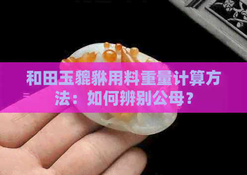 和田玉貔貅用料重量计算方法：如何辨别公母？