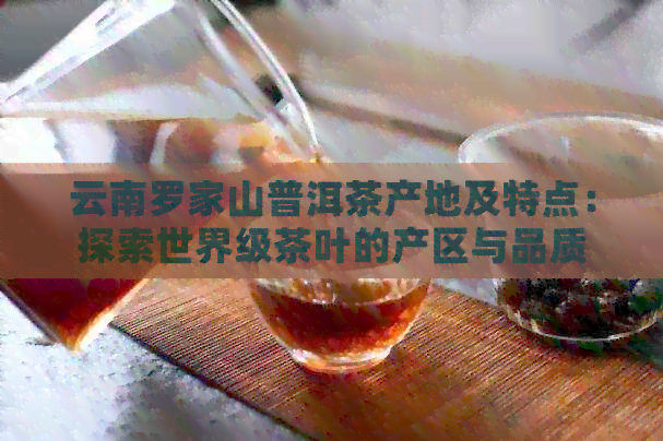 云南罗家山普洱茶产地及特点：探索世界级茶叶的产区与品质