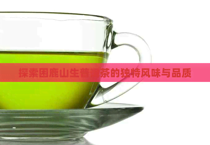 探索困鹿山生普洱茶的独特风味与品质